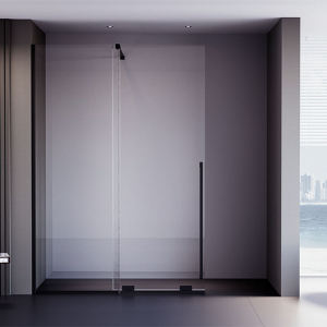 Душевая дверь Veconi Premium Trento PTDW-50B, 1200x2000, черный матовый, стекло прозрачное Ника